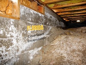 Photo of a crawl space under a house with the caption Florida Crawl Space Encapsulation