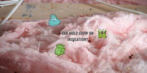 Photo of dirty pink fiberglass insulation with cartoon microbes and the caption "Can mold grow on insulation?"