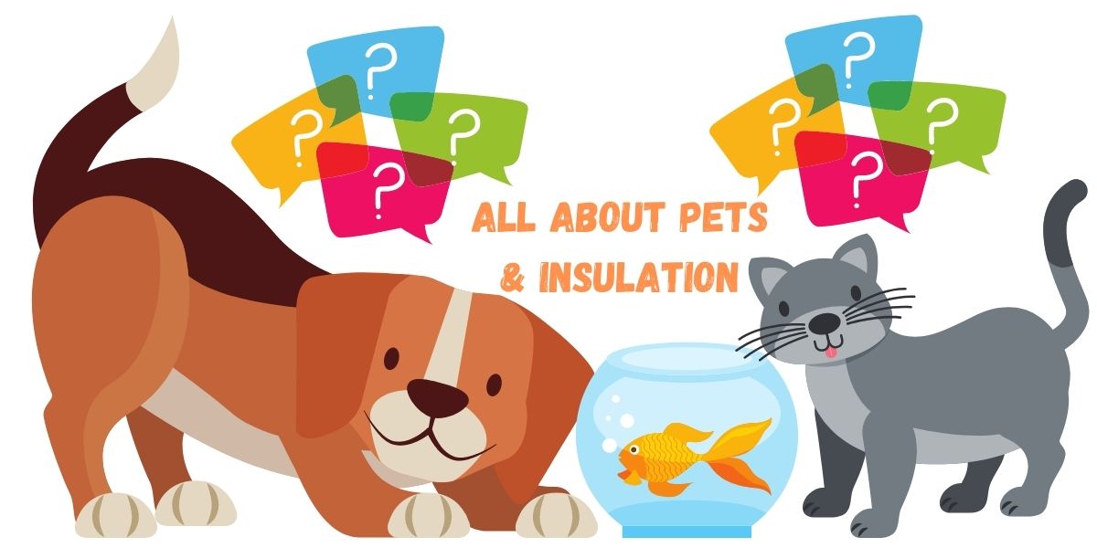 Pets And Home Insulation Issues The Ultimate Info Guide Attainable Home