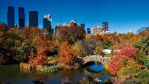 New York City's Central Park in the Autumn, with a pond, bridge and trees in the foreground and skyscrapers in the background