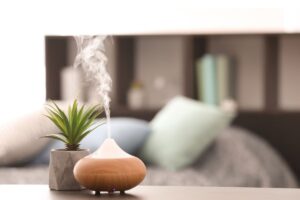 A zero waste humidifier next to a plant on a countertop in a bedroom