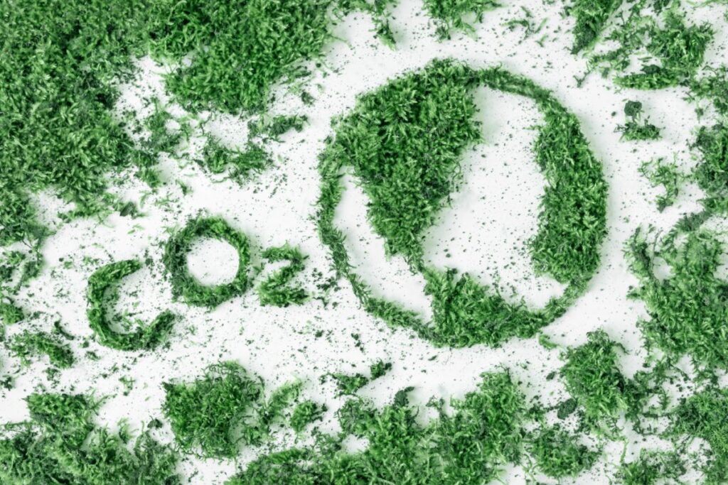 Downward view of grass and sand creating the image of a globe and the text "co2"