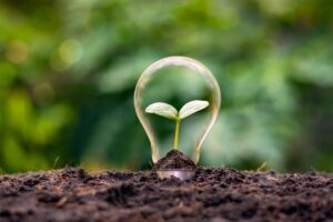 A bulb used for an energy-efficient light fixture coming out of the soil with a sapling inside it
