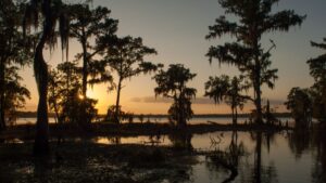 The Louisiana bayou at sunset