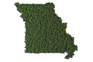A graphic depicting the outline of the state of Missouri, populated by trees
