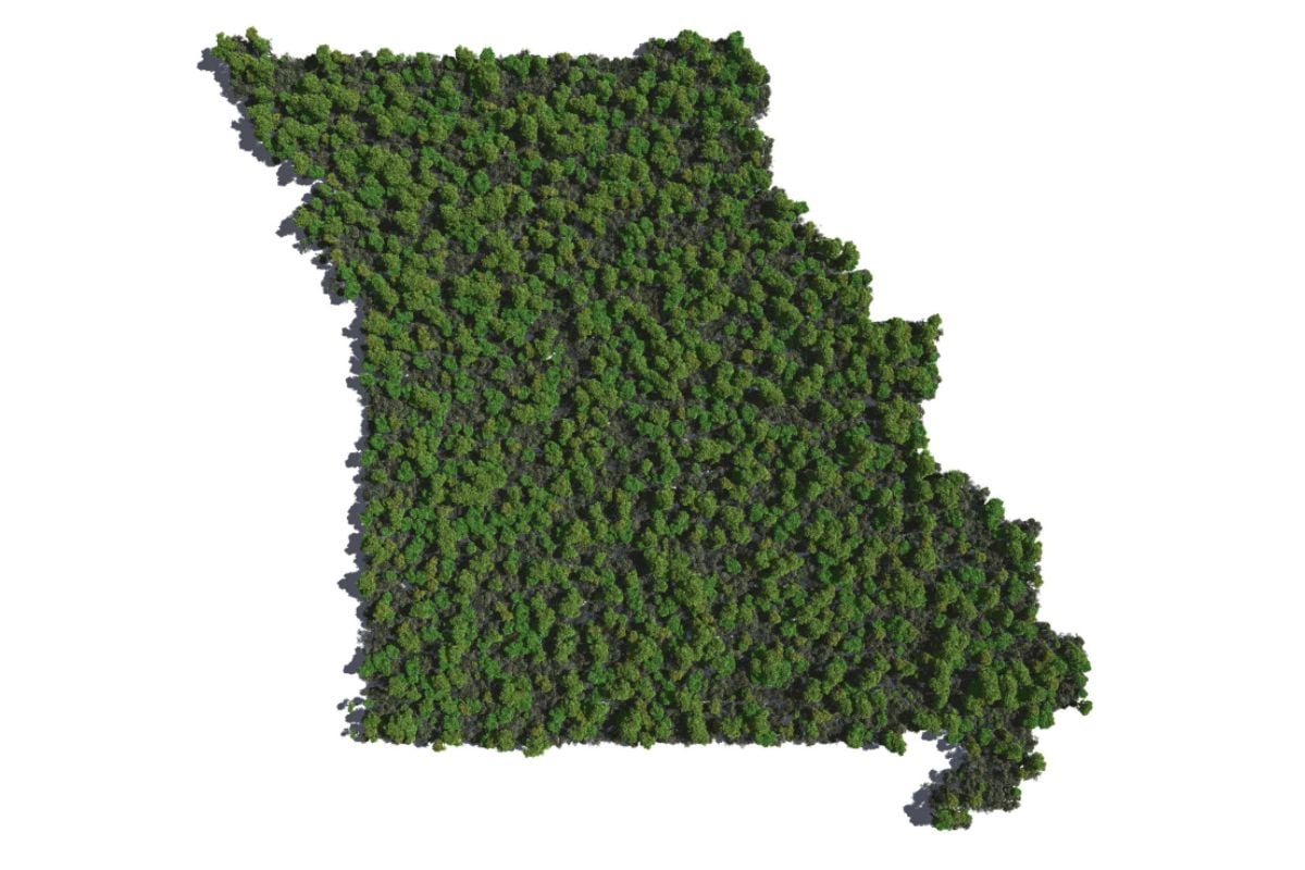 A graphic depicting the outline of the state of Missouri, populated by trees