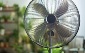 a home fan on a stand with plants in the background