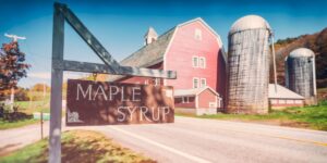 A farmhouse and barn along a highway in the Vermont countryside with a sign in front indicating 'maple syrup' for sale