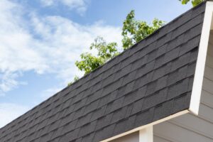 The corner section of the roof of a home with architectural shingles in Florida