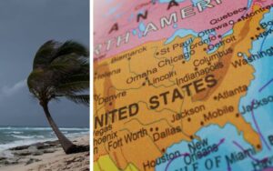 a 2 part framed picture showing a palm tree in the hurricane strong wind and a map of the southern states in the USA