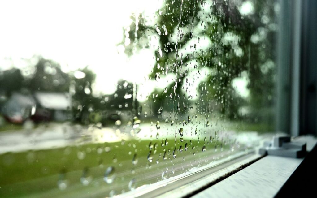 Looking out at a rainy day street view from inside a home through a hurricane window