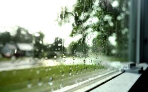 Looking out at a rainy day street view from inside a home through a hurricane window