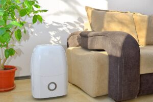 A home dehumidifier on the floor next to a couch