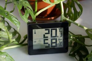 A digital thermometer and humidity reader in front of a plant on a table