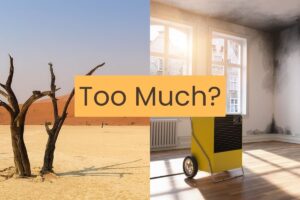a picture of a desert with a dried out tree on the left, and a dehumidifer in a room on the right with the words "too much" in the middle