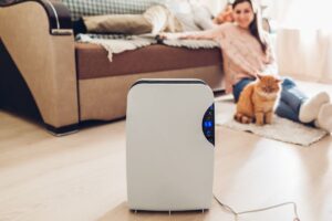 The living room of a home with a dehumidifier on the floor and homeowner resting up against the couch with her cat in front