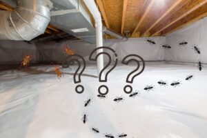 a white encapsulated crawl space of a home with cockroach and ant graphics around, indicating bugs in the crawl space
