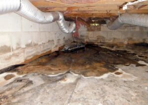 Insulating Crawl Space Ceilings: Is the Efficiency Worth It?