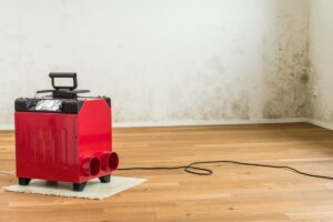 A whole-home dehumidifier set up on the living room floor on a home