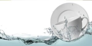 A plate and bowl float vertically atop water
