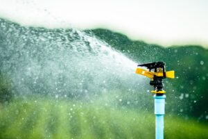 A sprinkler that's part of a greywater system irrigating a lawn