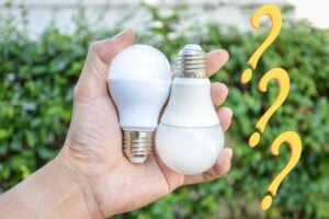 Closeup on a hand holding an a21 and a19 bulb.