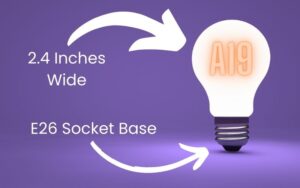 Does an A19 Bulb Fit into an E26 Medium Base? Find Out! – Attainable Home